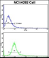 CUL5 Antibody (C-term)